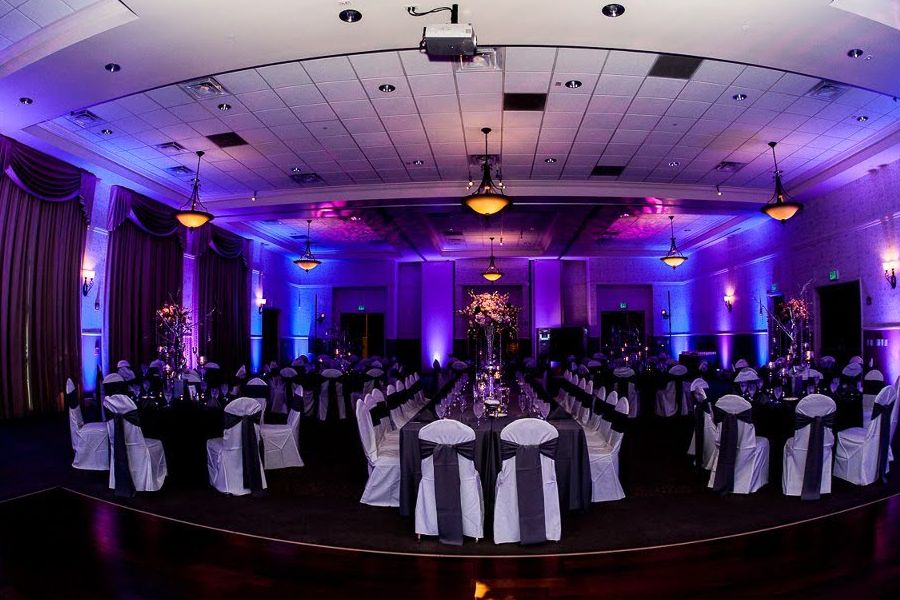 purple blue uplighting